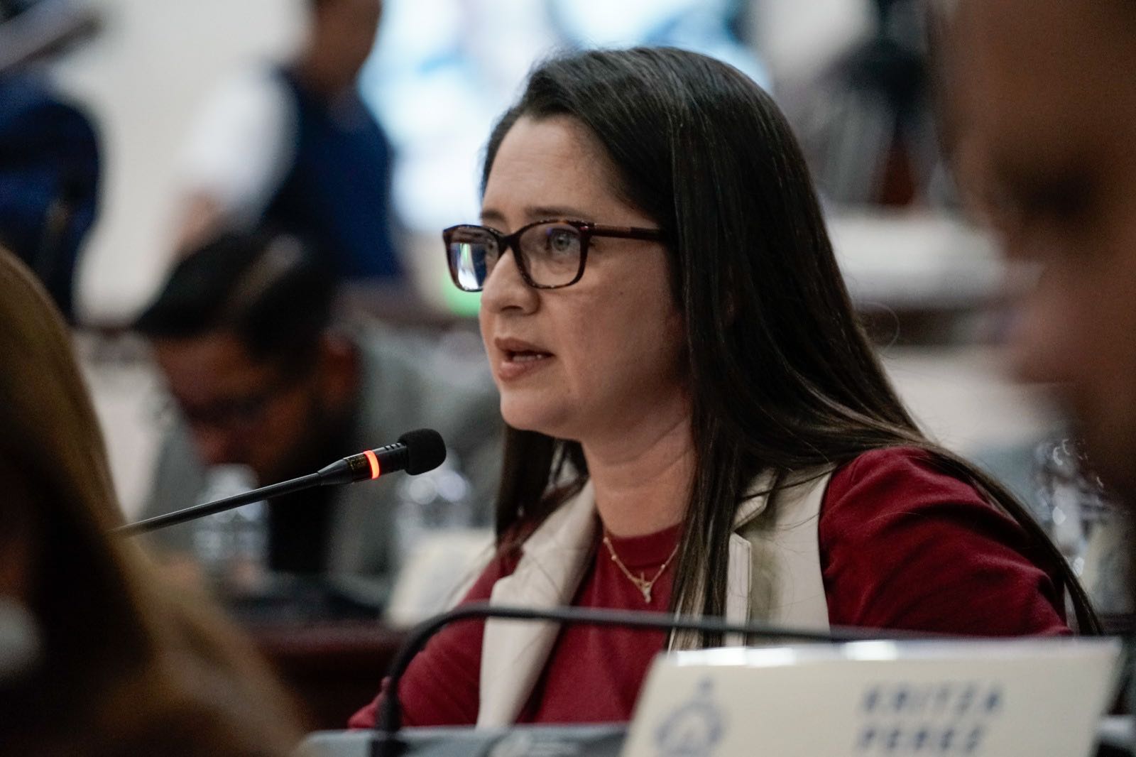 Presentan en el CN proyecto de Ley Especial para la Dignidad Hospitalaria y para la creación de hogares de adultos mayores a nivel nacional